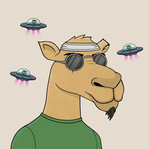 Camel #5386