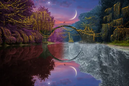 Reflection #888