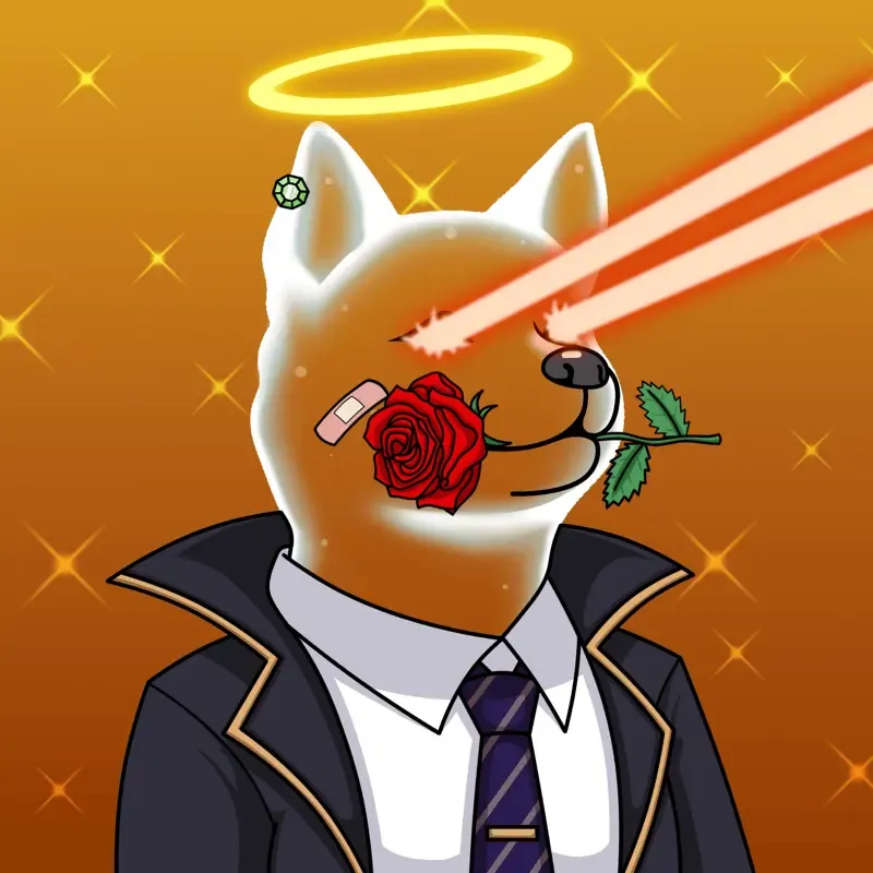 SOLDOGE #93