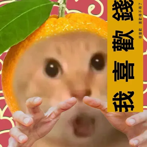 maodie the cat #1172