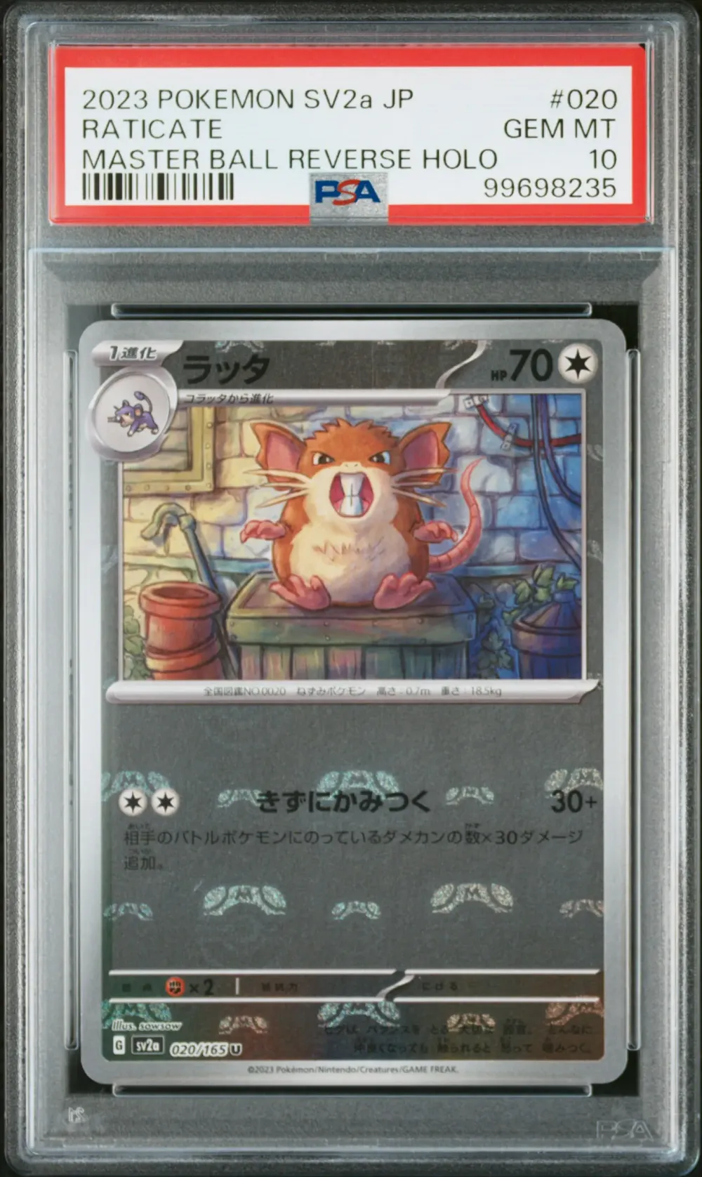 2023 #020 RATICATE PSA 10 POKEMO