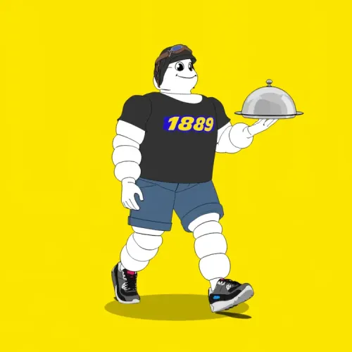 Michelin 3xplorer #1852
