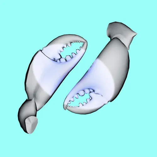 10b57e6 #2761