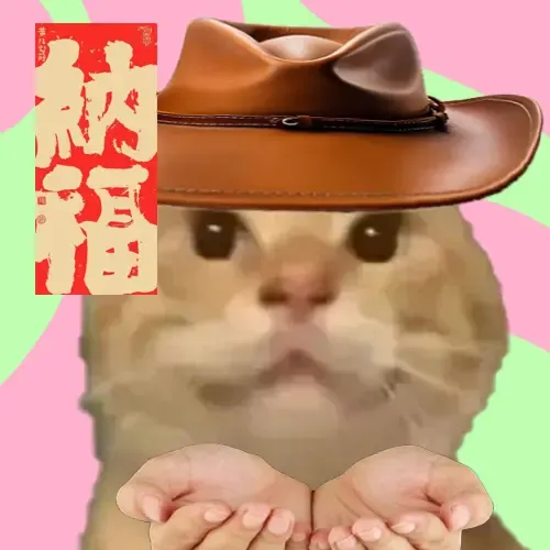maodie the cat #3113