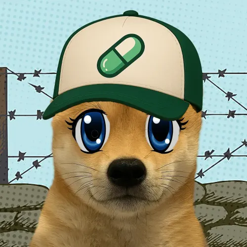 WuFy #581