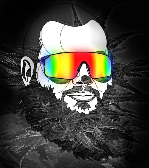 MOG Bronson #14