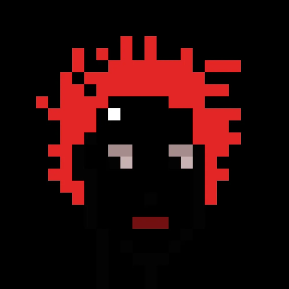No-Punk #475