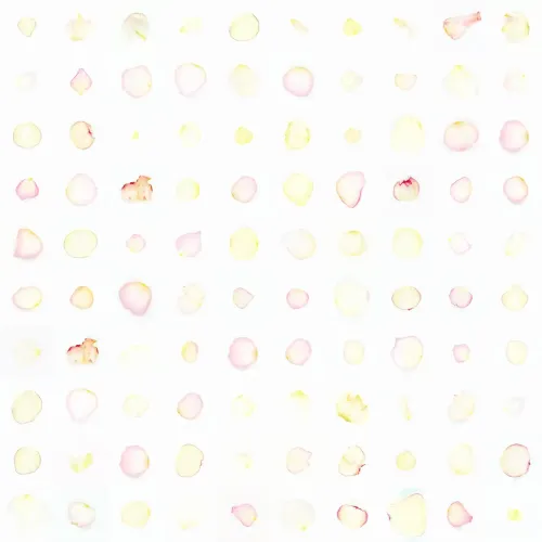Infinite Petals 10x10#1779