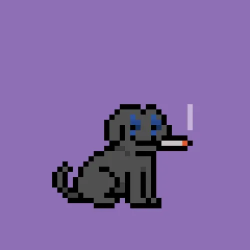 PUPZ #153