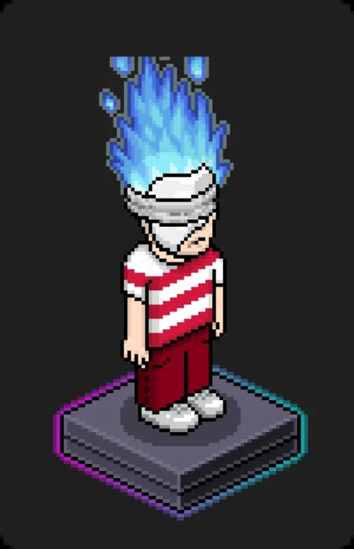 Habbo Crafted Avatar #1674