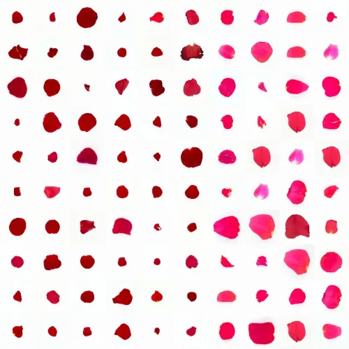 Infinite Petals 10x10#1036