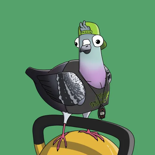 Trainer Pigeon #4