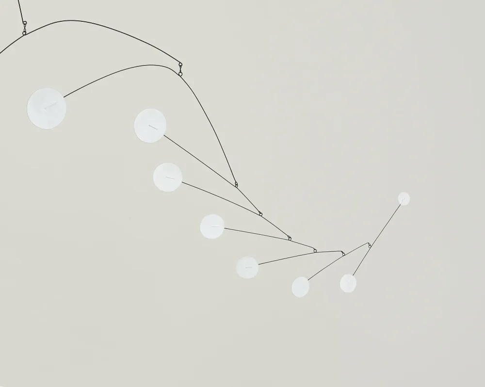 Nonspace #255
