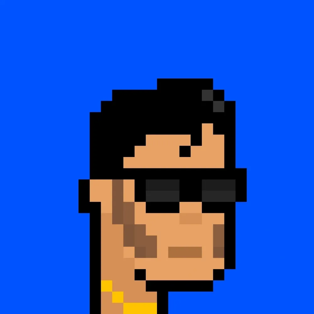888xPunks #66