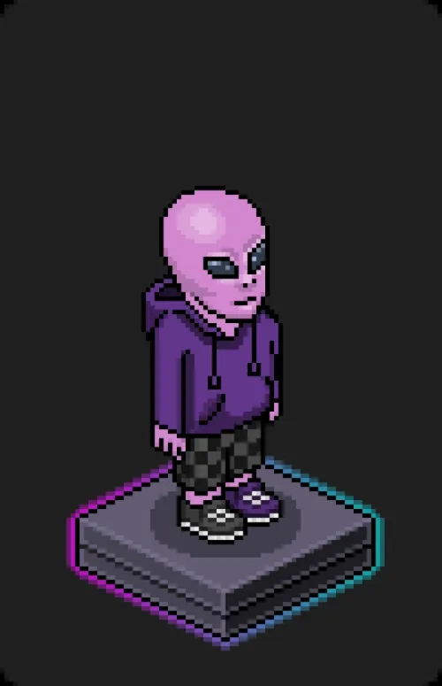 Habbo Crafted Avatar #1007