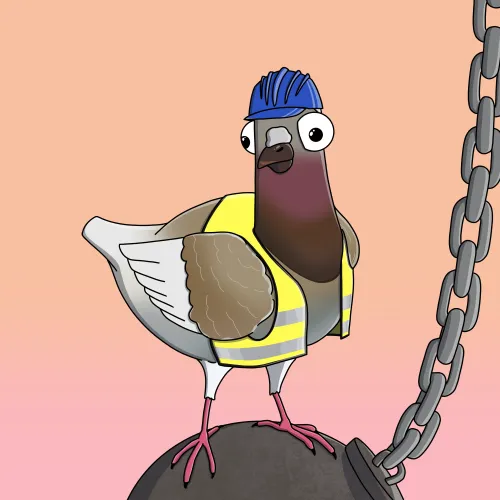 Builder Pigeon #2