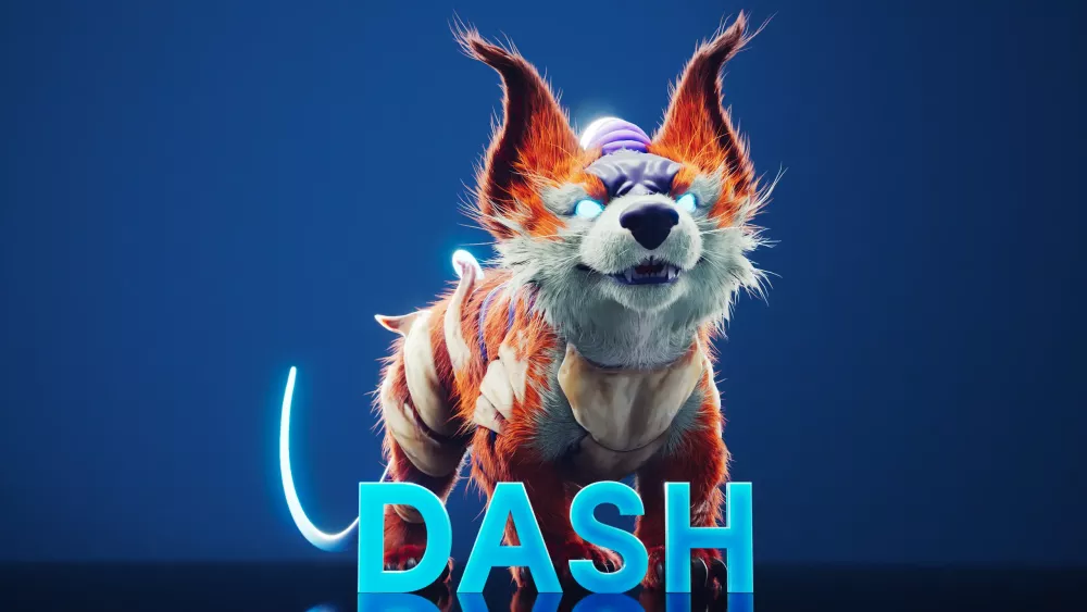 Dash #10