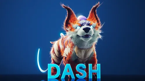 Dash #10