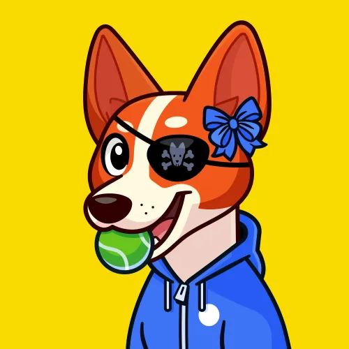 Basenji #2945