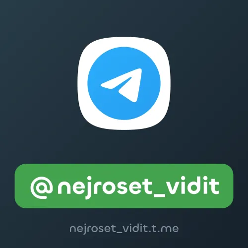 @nejroset_vidit