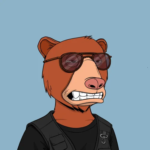 Okay Bear #9482