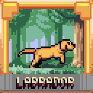 Labrador #310