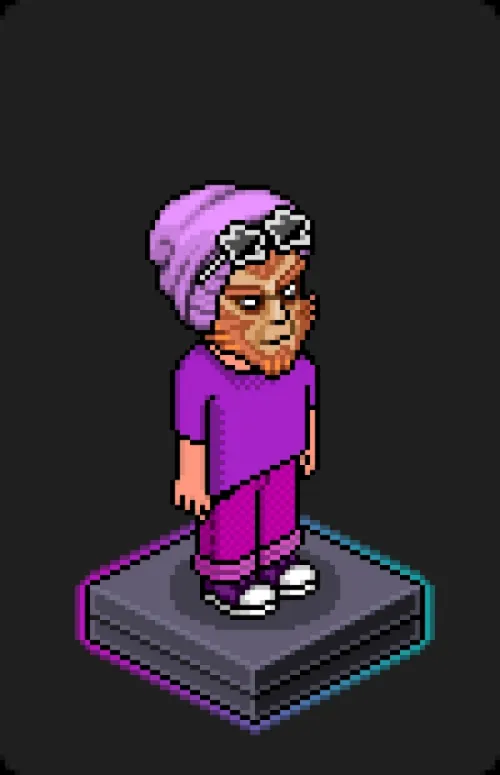 Habbo Crafted Avatar #1245