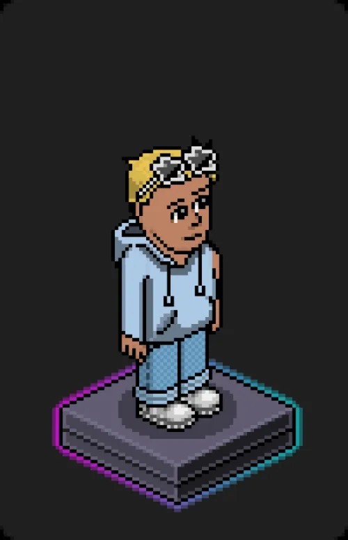Habbo Crafted Avatar #1936