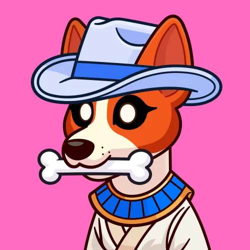 Basenji #2570