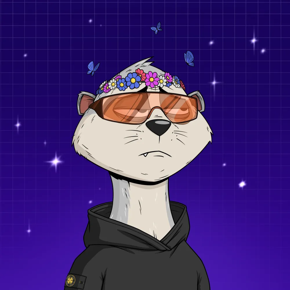 Worried Meerkat #764