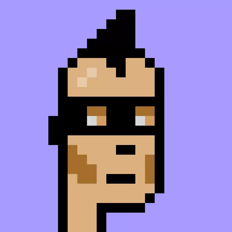 V1PUNK #8062