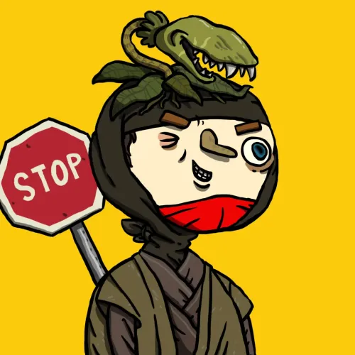 Ninja #3654