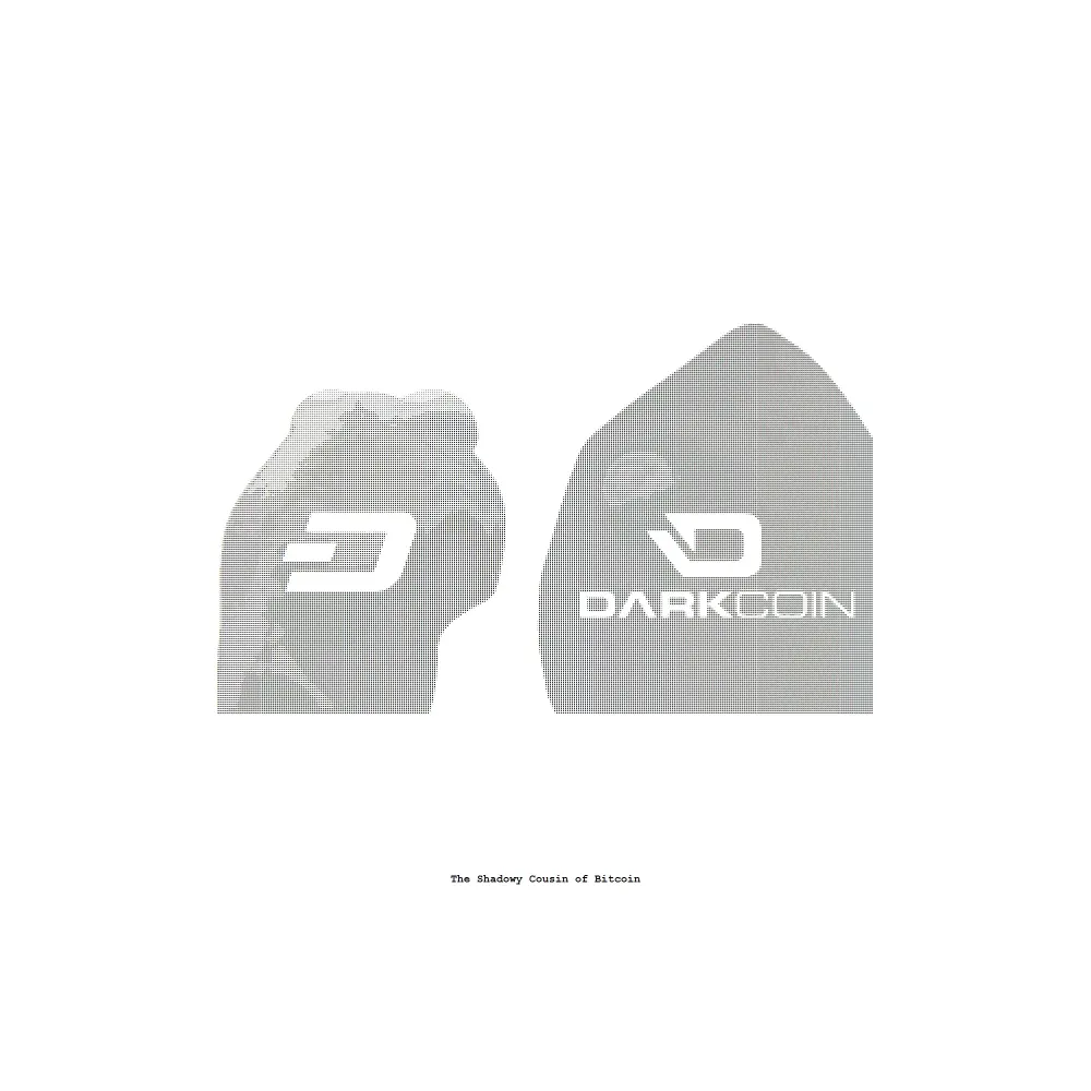 Bitcoin Artifact #13