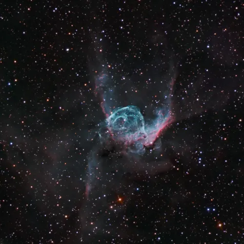 NGC 2359, Wide View #410