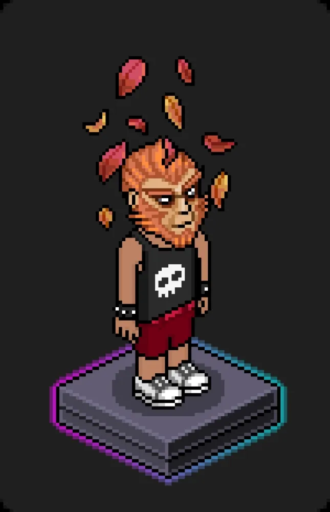 Habbo Crafted Avatar #1177