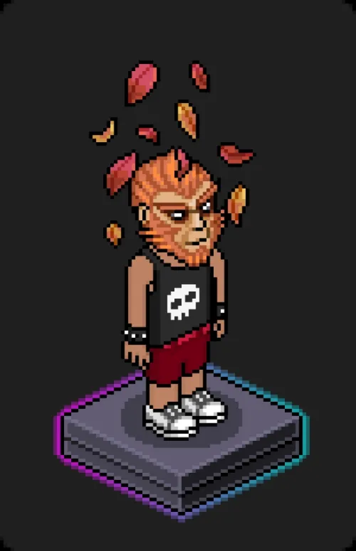 Habbo Crafted Avatar #1177