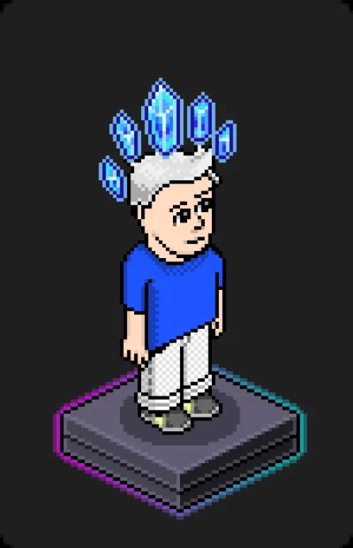 Habbo Crafted Avatar #1595