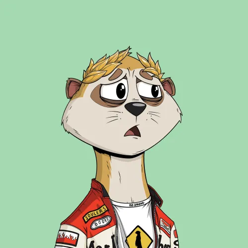 Worried Meerkat #1039