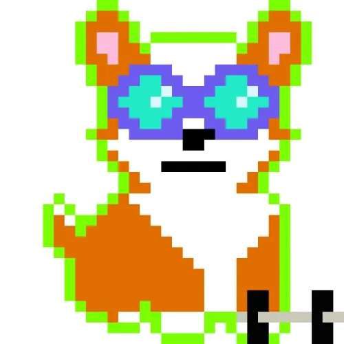 CorgifromBlock #13014913