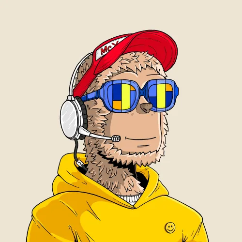 y00t #5658