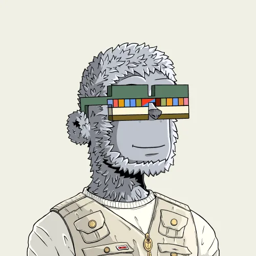 y00t #5843