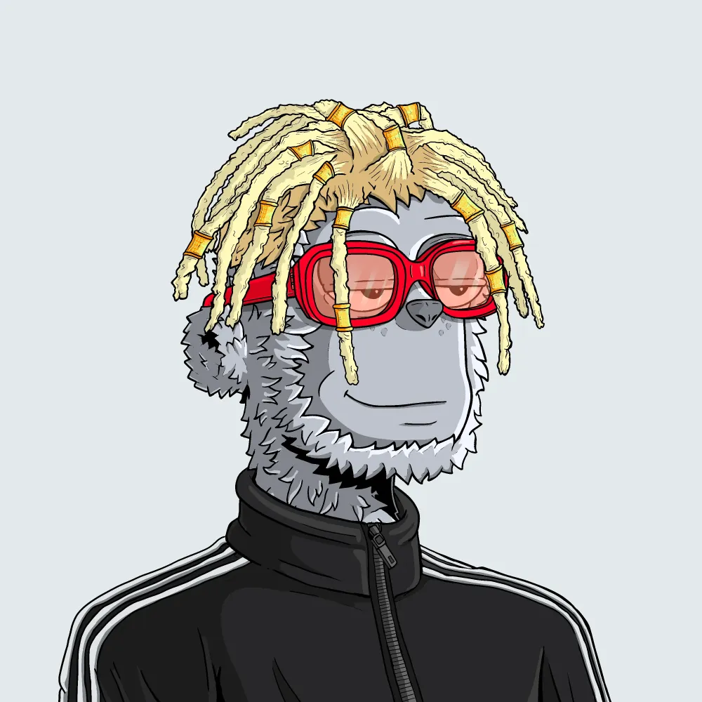 y00t #14905