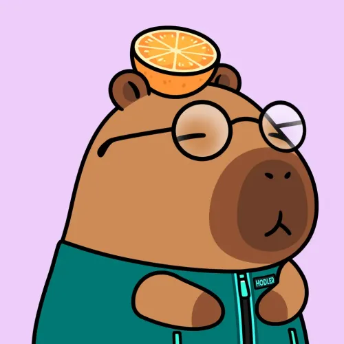 Yapybara #908