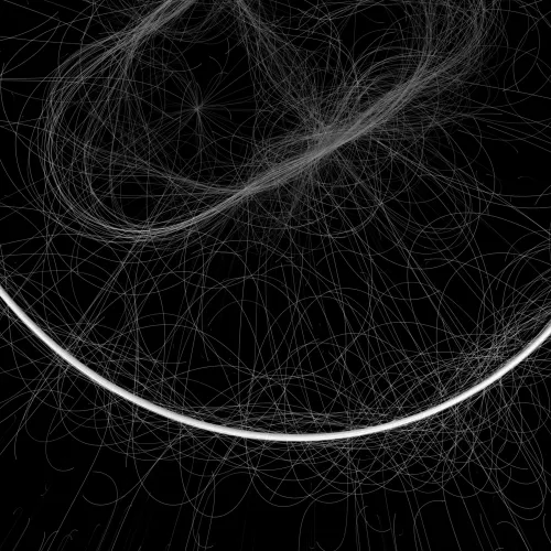 Phototaxis #359