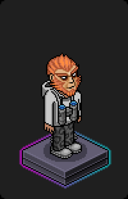 Habbo Crafted Avatar #207