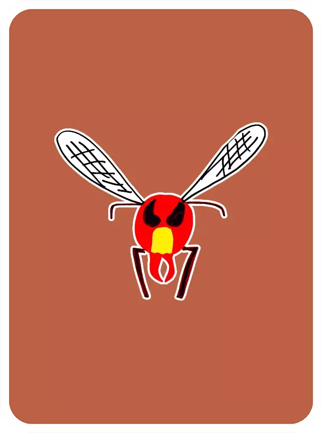 "HotShit"Hornet #114