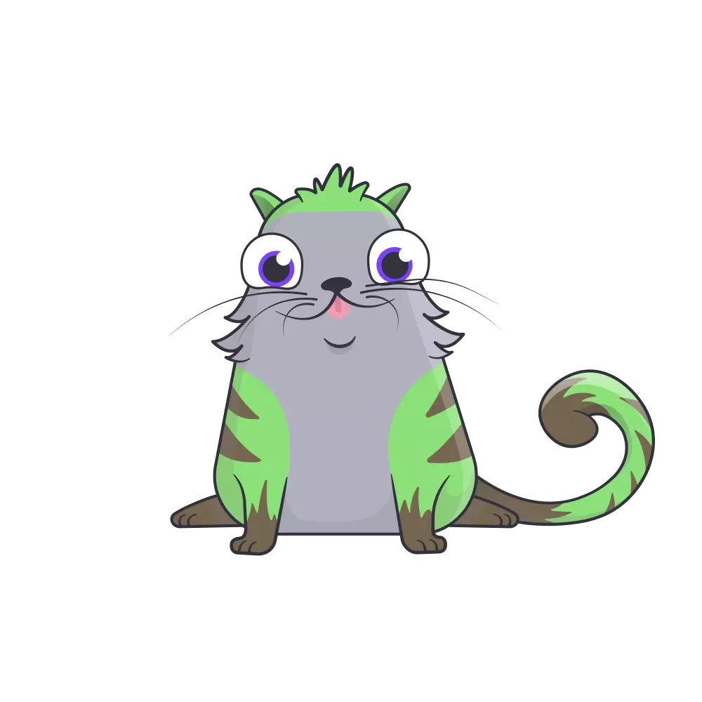 Rare tigerpank #255171