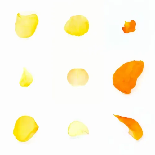 Infinite Petals 3x3#20364