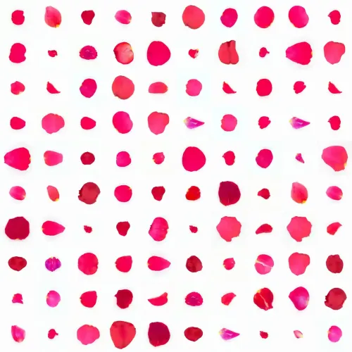 Infinite Petals 10x10#10077