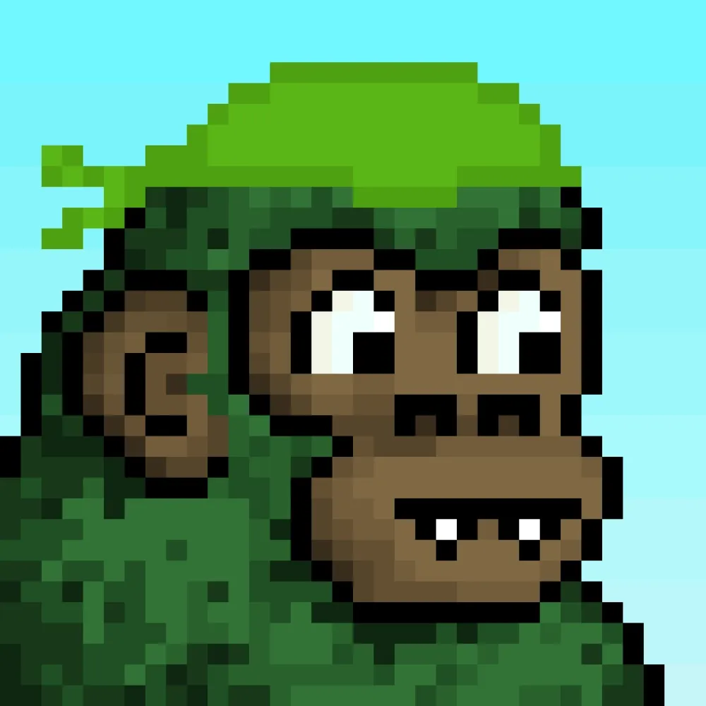 CyberKong #4893